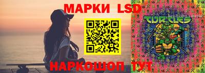 стаф Ставрополь